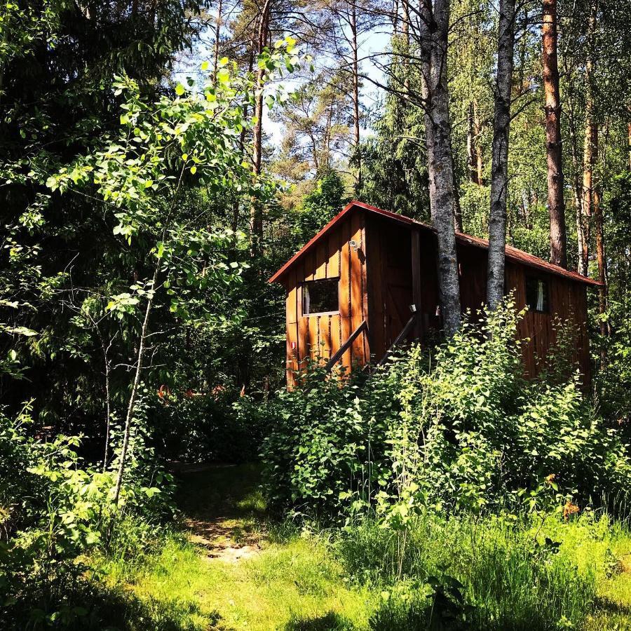 Nature Retreat 